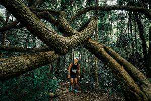 BIB: 
                            <button type="button" onclick="openModal(25664431)" class="btn btn-primary btn-sm float-right btn-popup" data-toggle="modal" data-target=".modal-high-quality">
                        <i class="fas fa-shopping-cart"></i> Add to Cart
                    </button>
                                            <button type="button" onclick="isThisMe(25664431, true)" class="btn btn-success btn-sm float-right btn-popup btn-isme hidden" data-toggle="tooltip" data-placement="bottom" title="นี่คือรูปของคุณใช่ไหม คลิกที่นี่เพื่อเอาเข้าอัลบั้ม">
                        <i class="fas fa-plus"></i> Add to album
                    </button>
                    <button type="button" onclick="isThisMe(25664431, false)" class="btn btn-warning btn-sm float-right btn-popup btn-isnotme hidden">
                        <i class="fas fa-ban"></i> Remove from album
                    </button>